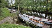PICTURES/Killarney National Park - Ross Castle & Lough Leane/t_20250926_114308.jpg